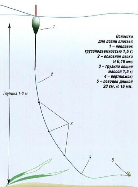 Плотва на течении оснастка Catching a large raft on peas Flesh is an omnivorous fish. And if you try to lis