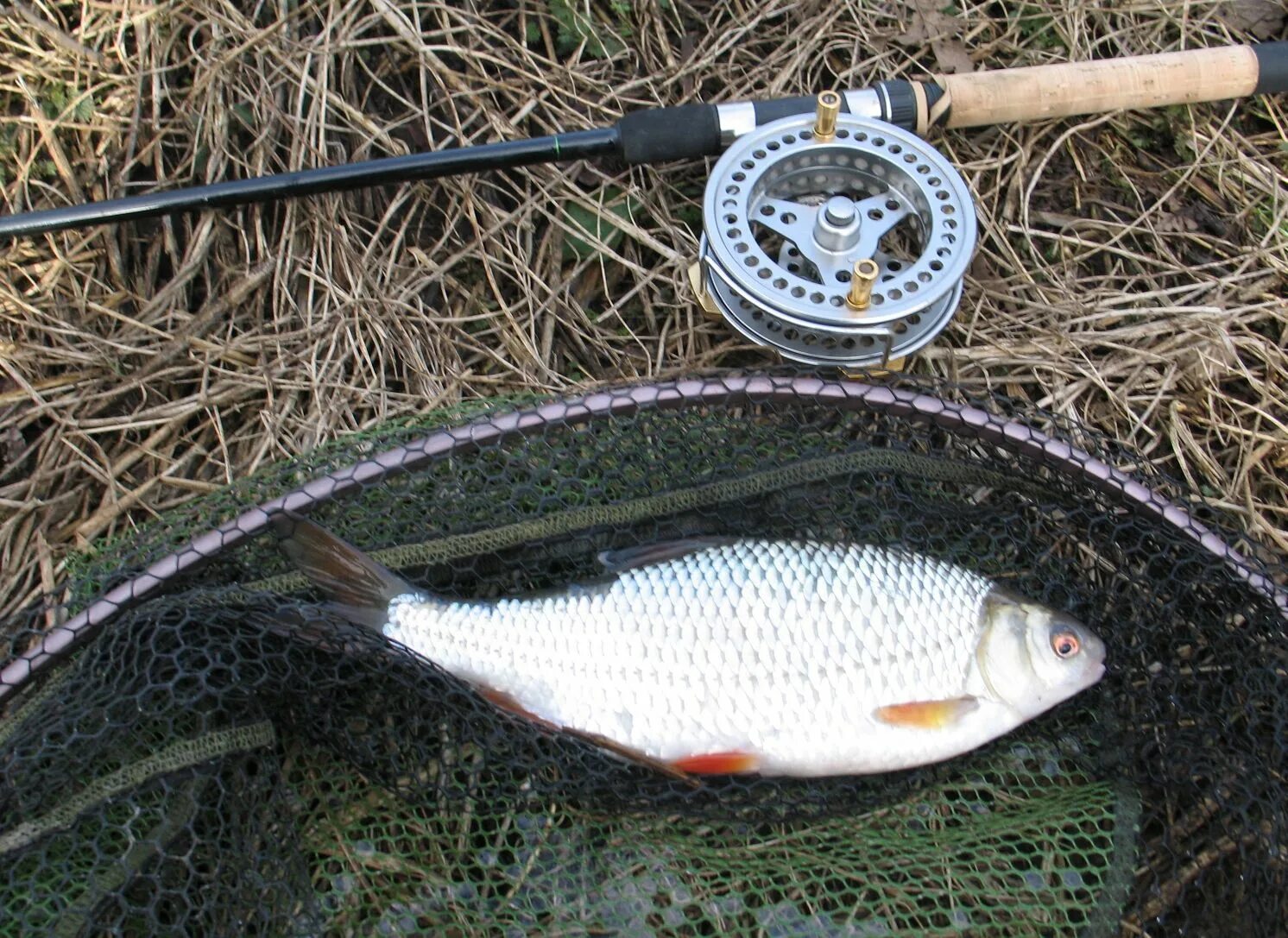 Плотва осенью на поплавок на что ловить john wilson mirage float rod for Sale,Up To OFF73