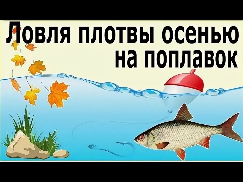 Плотва осенью на поплавок на что ловить Ловля плотвы на поплавок осенью - YouTube