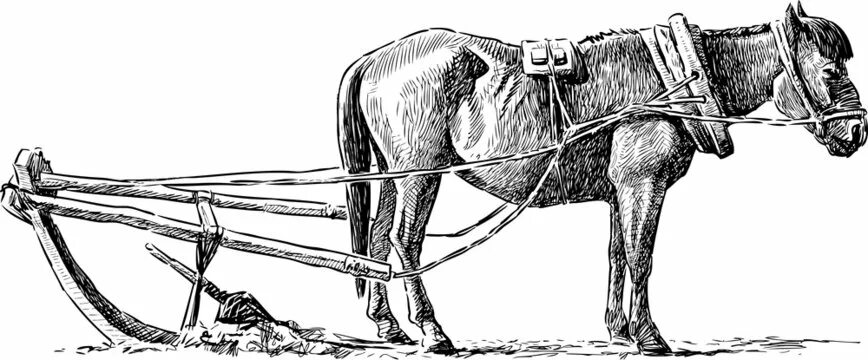 Плуг фото старинный с лошадью Horse And Plow Изображения: просматривайте стоковые фотографии, векторные изобра