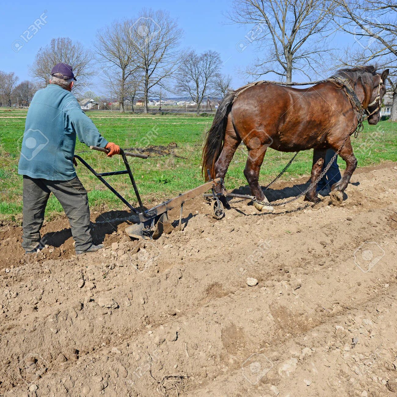 Плуг фото старинный с лошадью Fallowing Of A Spring Field By A Manual Plow On Horse-drawn Stock Photo, Picture