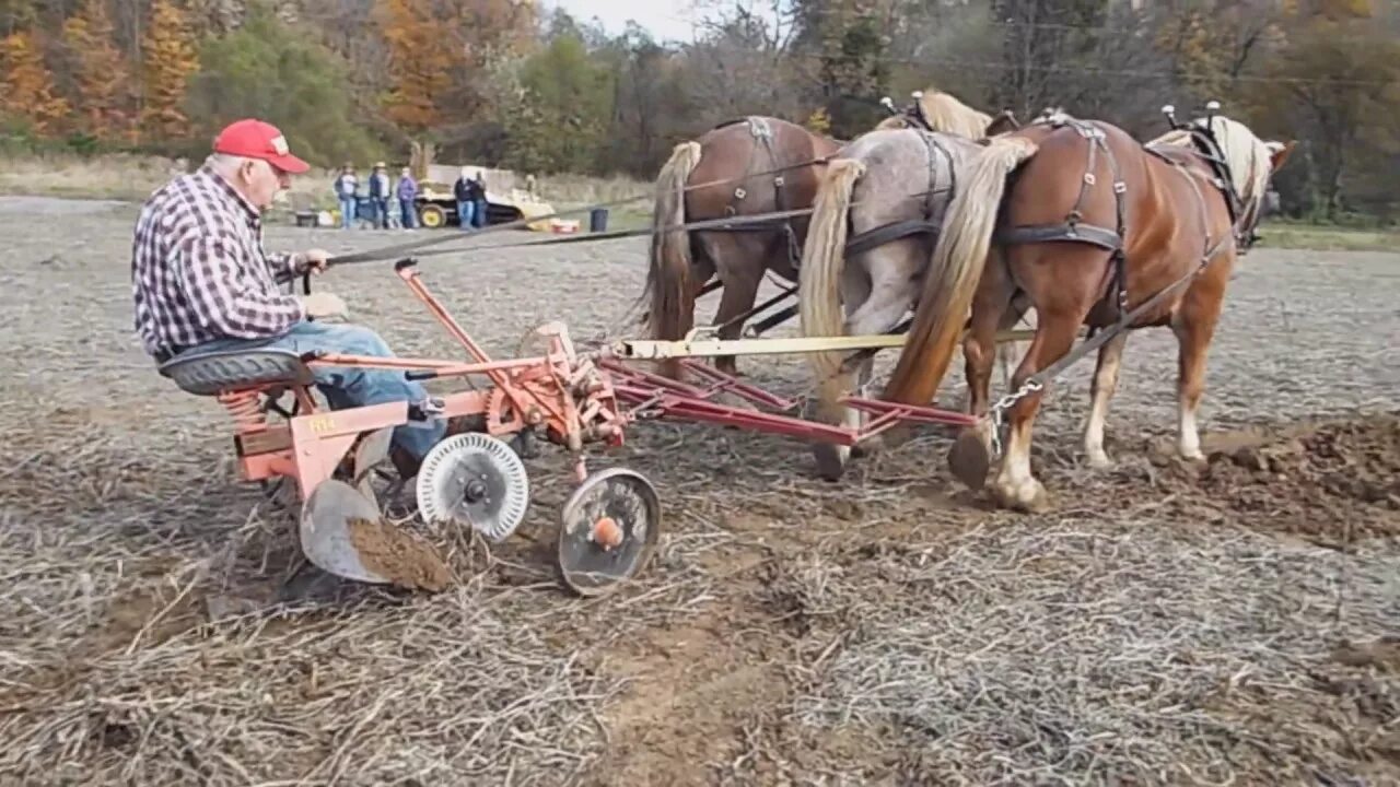 Плуг фото старинный с лошадью Horse Drawn Plow Day - YouTube
