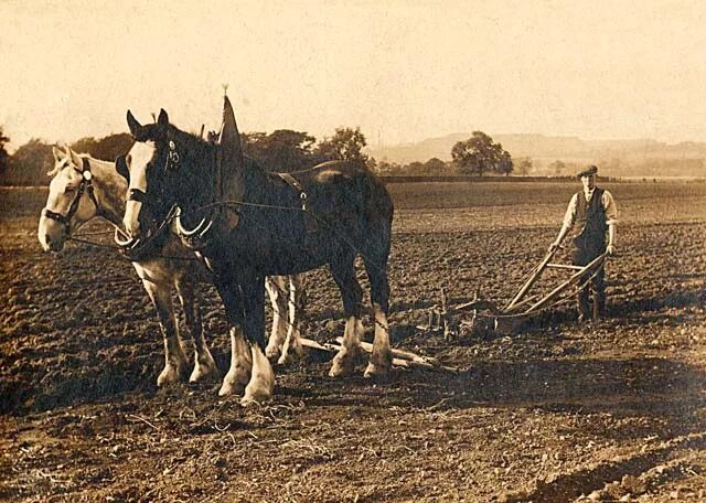 Плуг фото старинный с лошадью Ploughing at Ratho