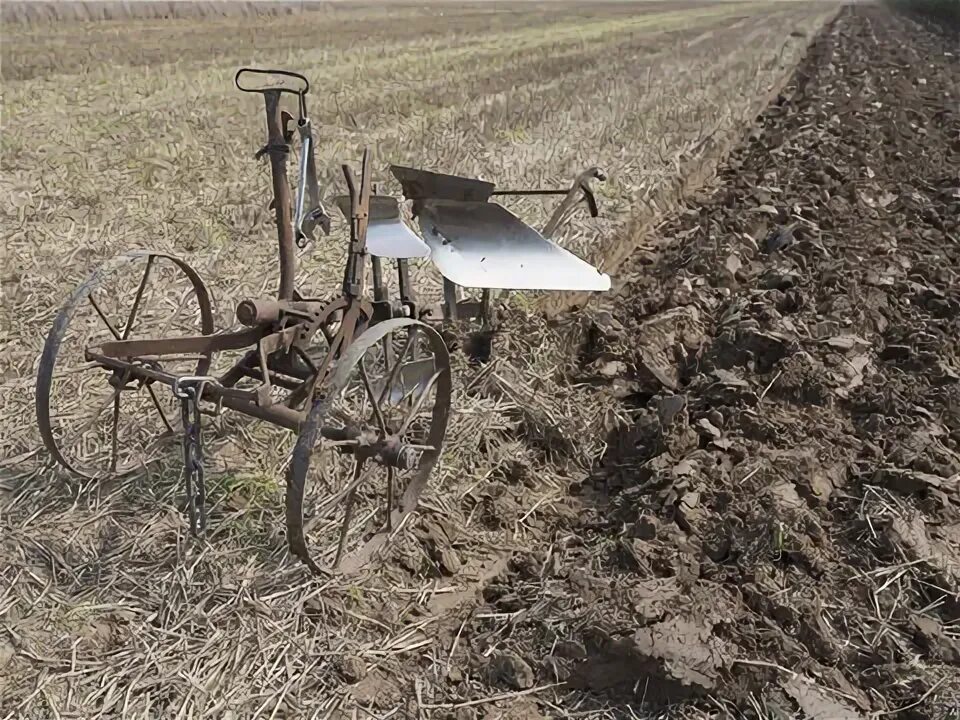 Плуг фото старинный с лошадью Old Plow bilder - Bläddra bland 11,756 stockfoton, vektorer och videor Adobe Sto