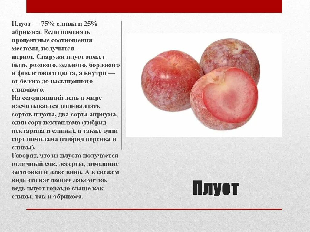 Плумкот описание сорта фото отзывы Плумкот описание сорта фото отзывы: найдено 88 изображений