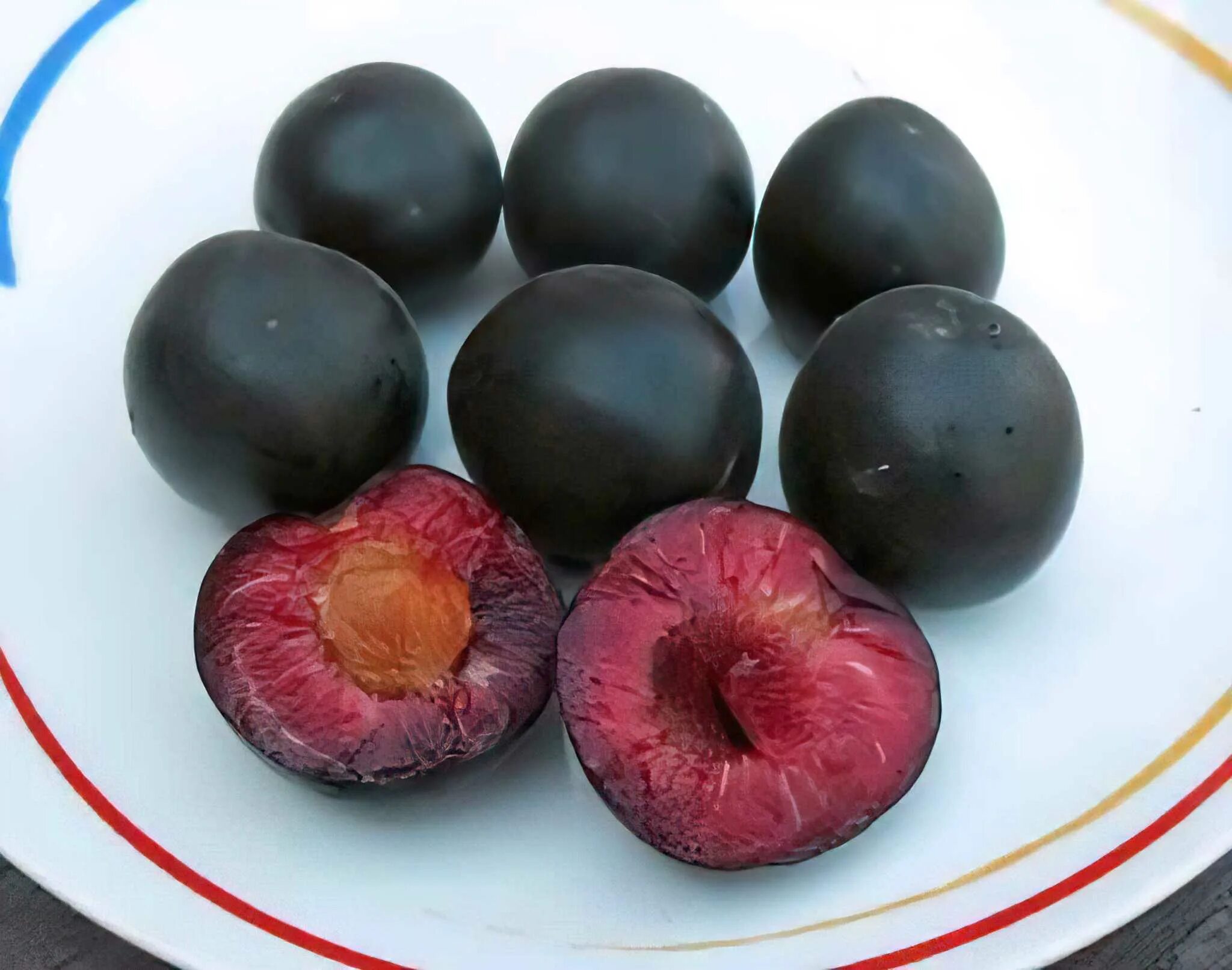 Плумкот описание сорта фото отзывы Плумкот (слива-абрикос) Априсалі Pluot Apricot x Plum hybrid Aprisali - купити п