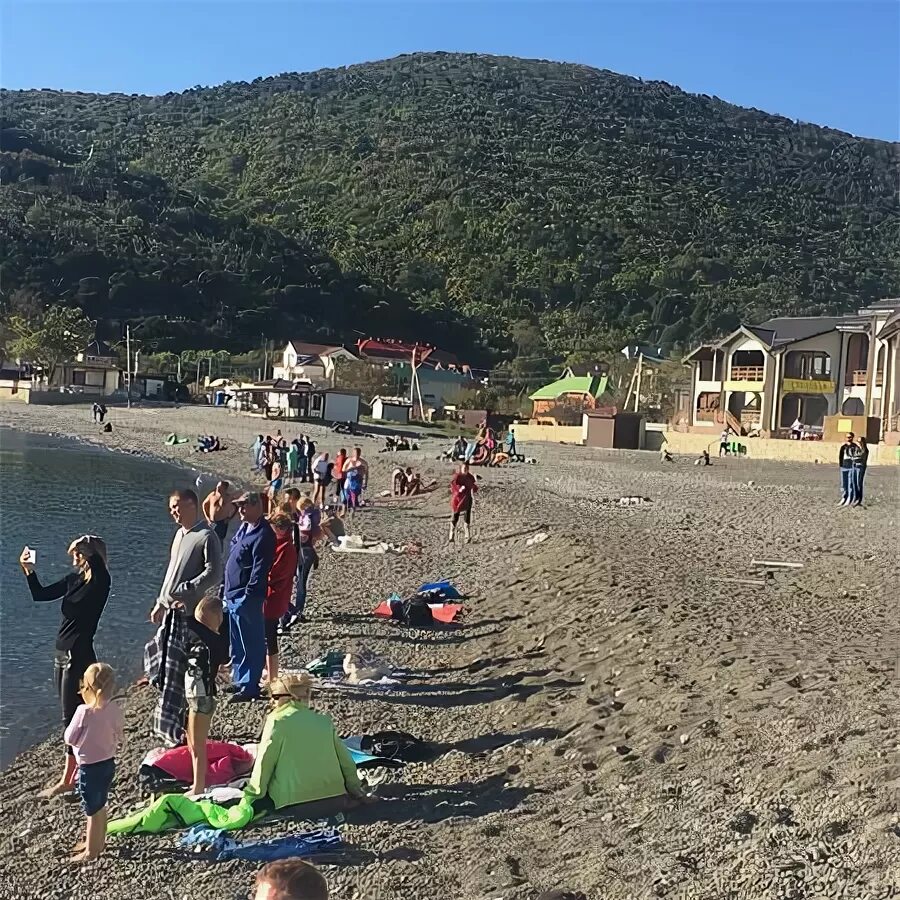 Пляж абрау дюрсо фото Пляж Дюрсо - Picture of Durso Beach, Abrau-Durso - Tripadvisor
