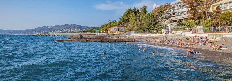 Пляж альбатрос фото Panorama of the Beach of Phasotron. Sochi, Russia. Editorial Stock Photo - Image