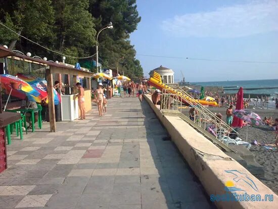 Пляж альбатрос фото Экодом Сочи отель 3* Турбюро Южанка