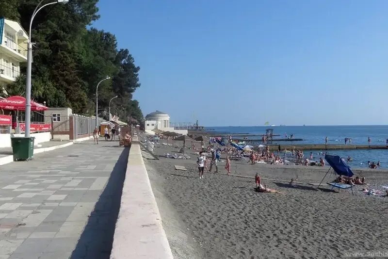 Пляж альбатрос фото Большая квартира у пляжа "Альбатрос" - Сочи,ул. Бамбуковая, д. 42 "А": цены, фот