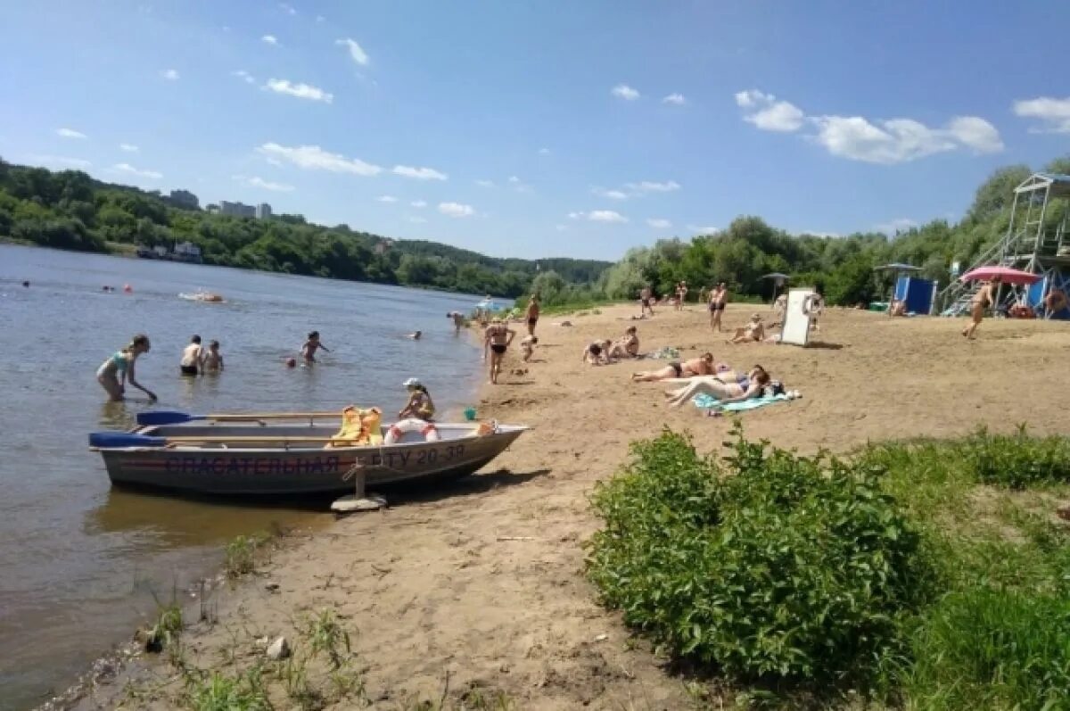 Пляж алексин фото В Алексине открыли городской пляж АиФ Тула