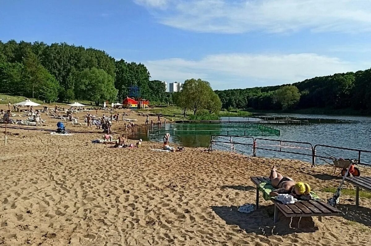 Пляж алексин фото В Тульской области к открытию допущены 48 пляжей АиФ Тула