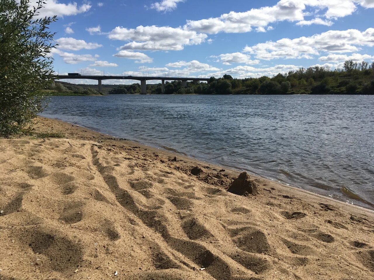 Пляж алексин фото Городской пляж на оке: найдено 86 картинок
