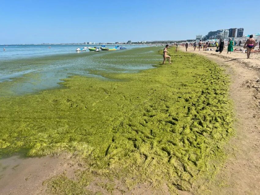 Пляж анапы сегодня фото После шторма в море у берегов Анапы появилась зелёная жижа