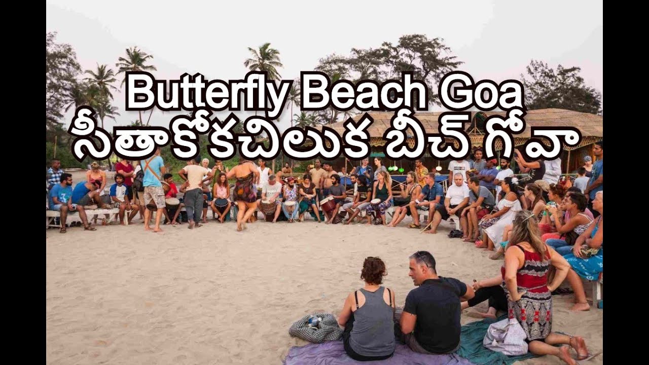 Пляж арамболь гоа фото Butterfly Beach Goa సీతాకోకచిలుక బీచ్ గోవా - YouTube