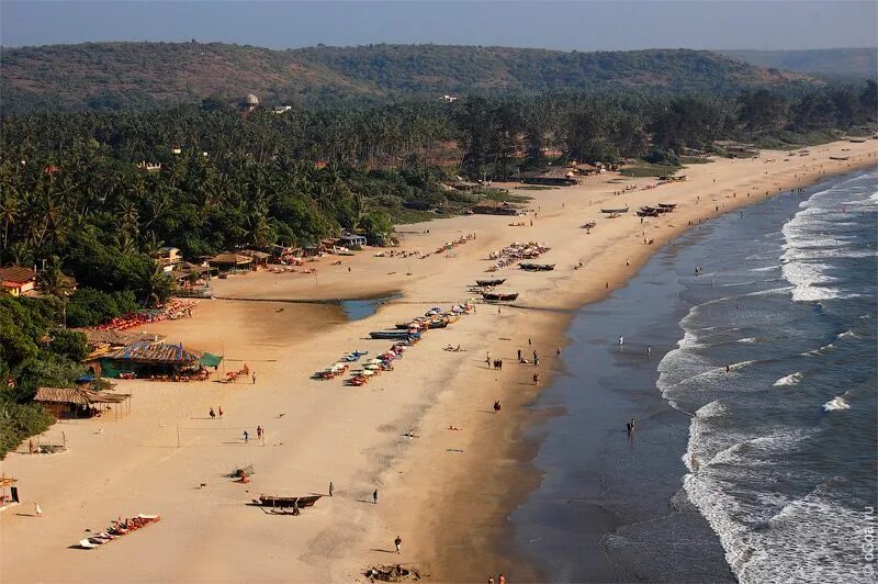 Пляж арамболь гоа фото Arambol Beach Goa Goa, Beach, Ocean