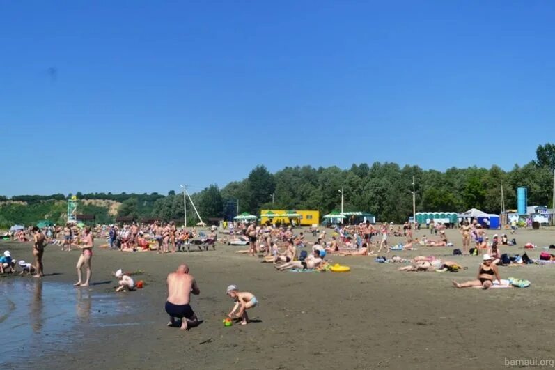 Пляж барнаул фото Сколько пляжей официально открыто в Алтайском крае и где они находятся? АиФ Барн