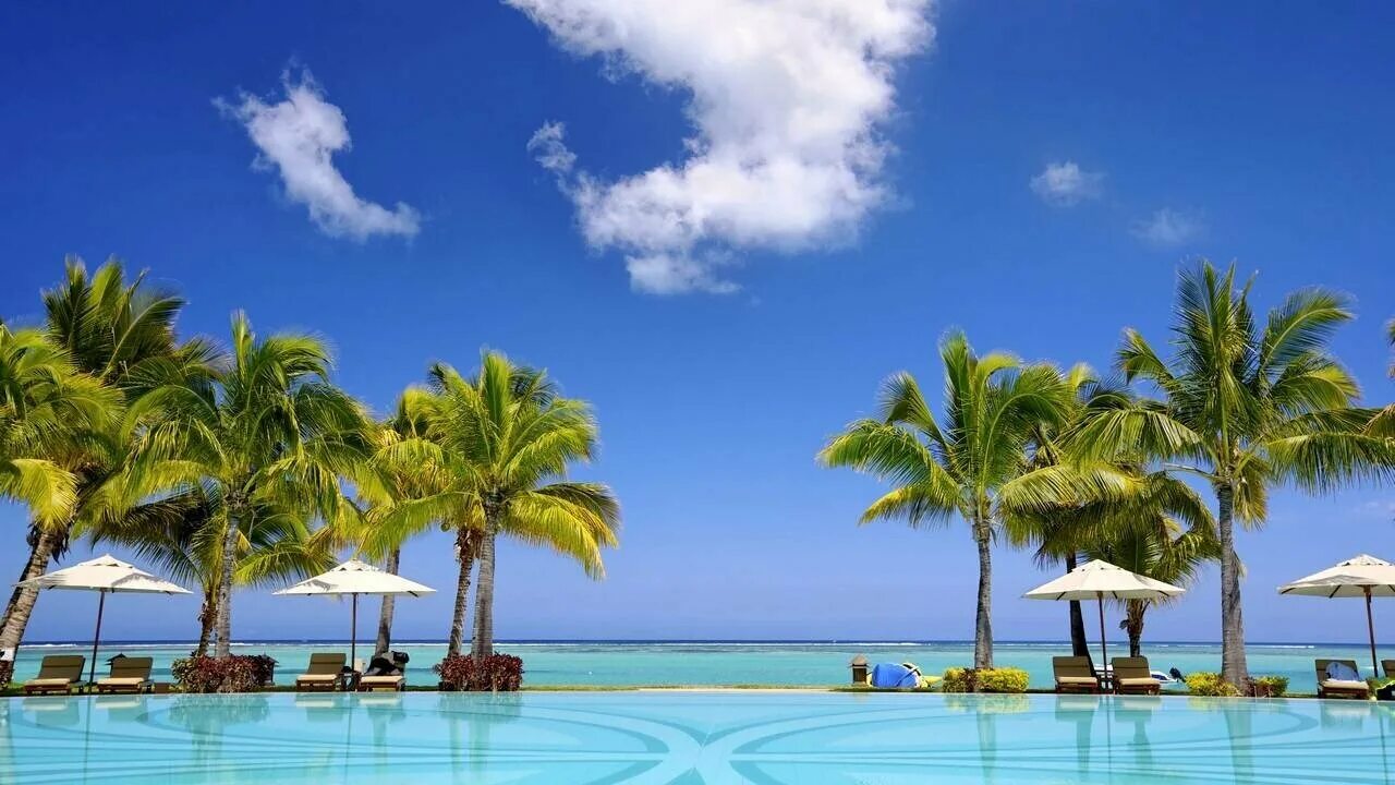 Пляж бассейн фото Панно Ceradim Dec Palm Panno A КПН16PalmA 25х45 - купить по низкой цене на Яндек