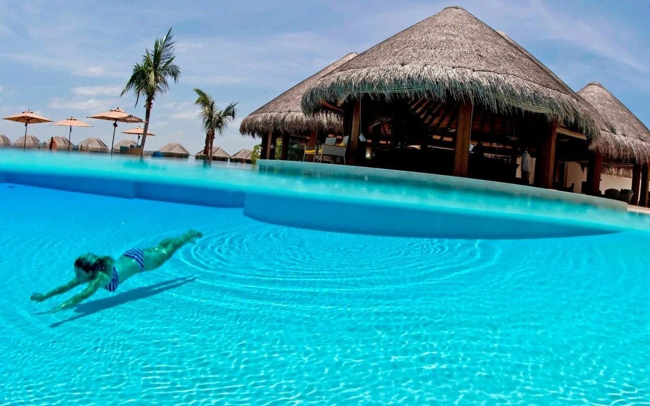 Пляж бассейн фото Swimming pool albuquerque - #albuquerque Pool, Swimming pools, Cool pools