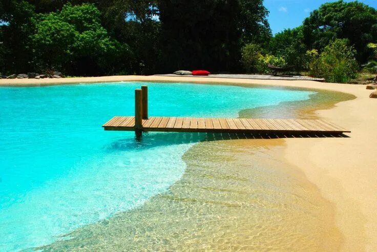 Пляж бассейн фото Wai pool Barbados Beach entry pool, Backyard pool, Backyard pool designs