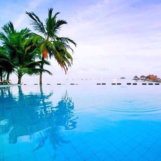 Пляж бассейн фото Luxury at its finest. Photo courtesy of @fredtour on Instagram. Park Hyatt Goa B
