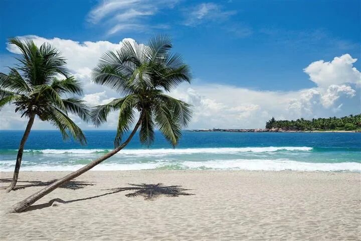 Пляж баунти фото Over Six Million Visited China’s Hainan Province During Spring Festival