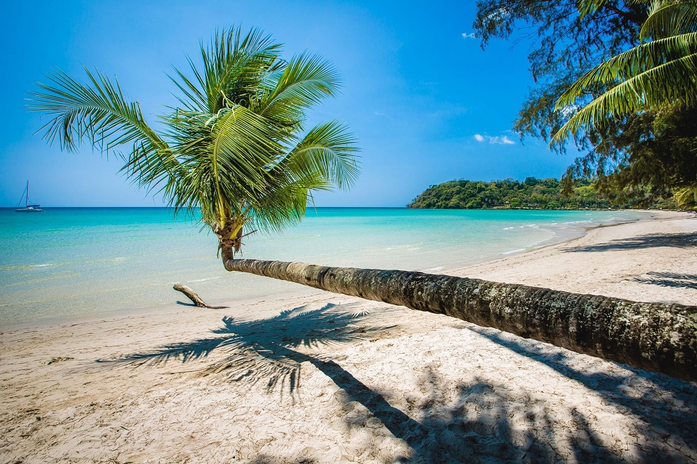 Пляж баунти фото Как найти свой собственный райский остров в Таиланде - INTERPARUS Best honeymoon
