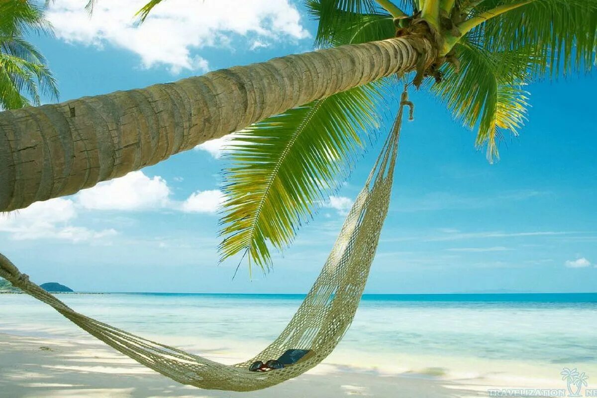 Пляж баунти фото zanzibar-hamoc Beach hammock, Beach wallpaper, Palm trees