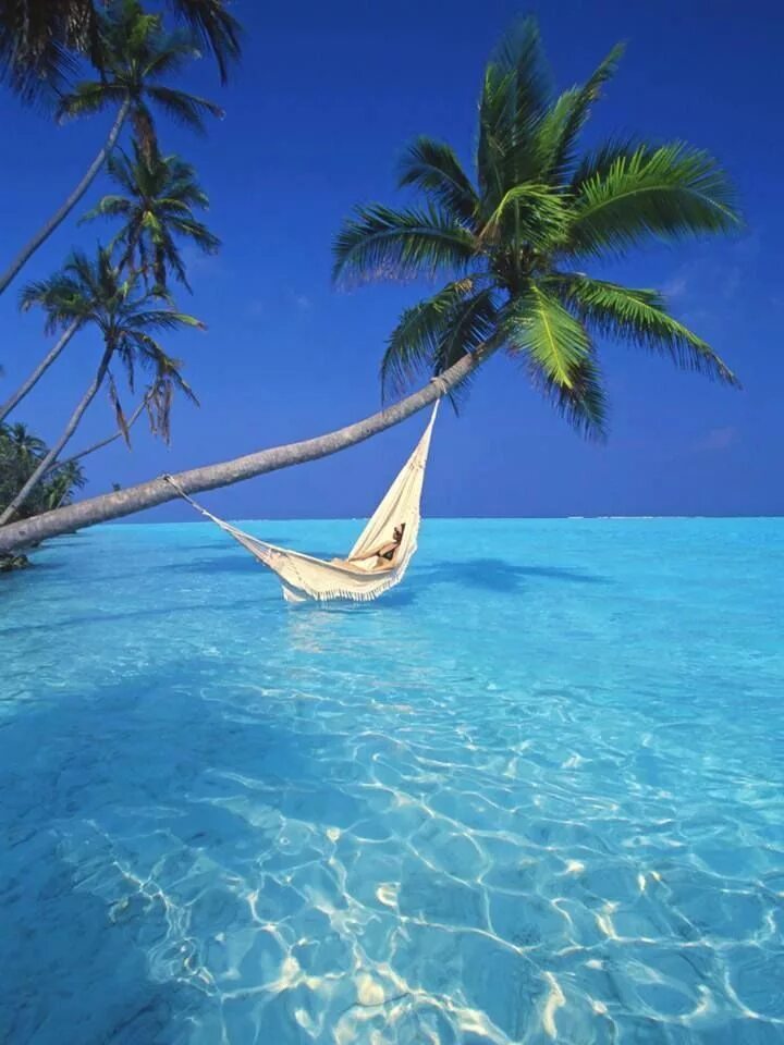 Пляж баунти фото 35 Spectacular Shots Of Bora Bora, Tahiti .. You Won’t Believe Are... Places to 