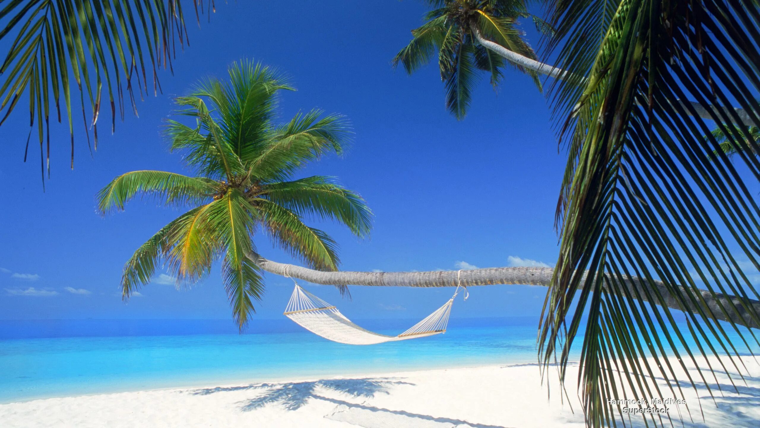 Пляж баунти фото Hammock, Maldives Maldives island, Beach pictures, Beach