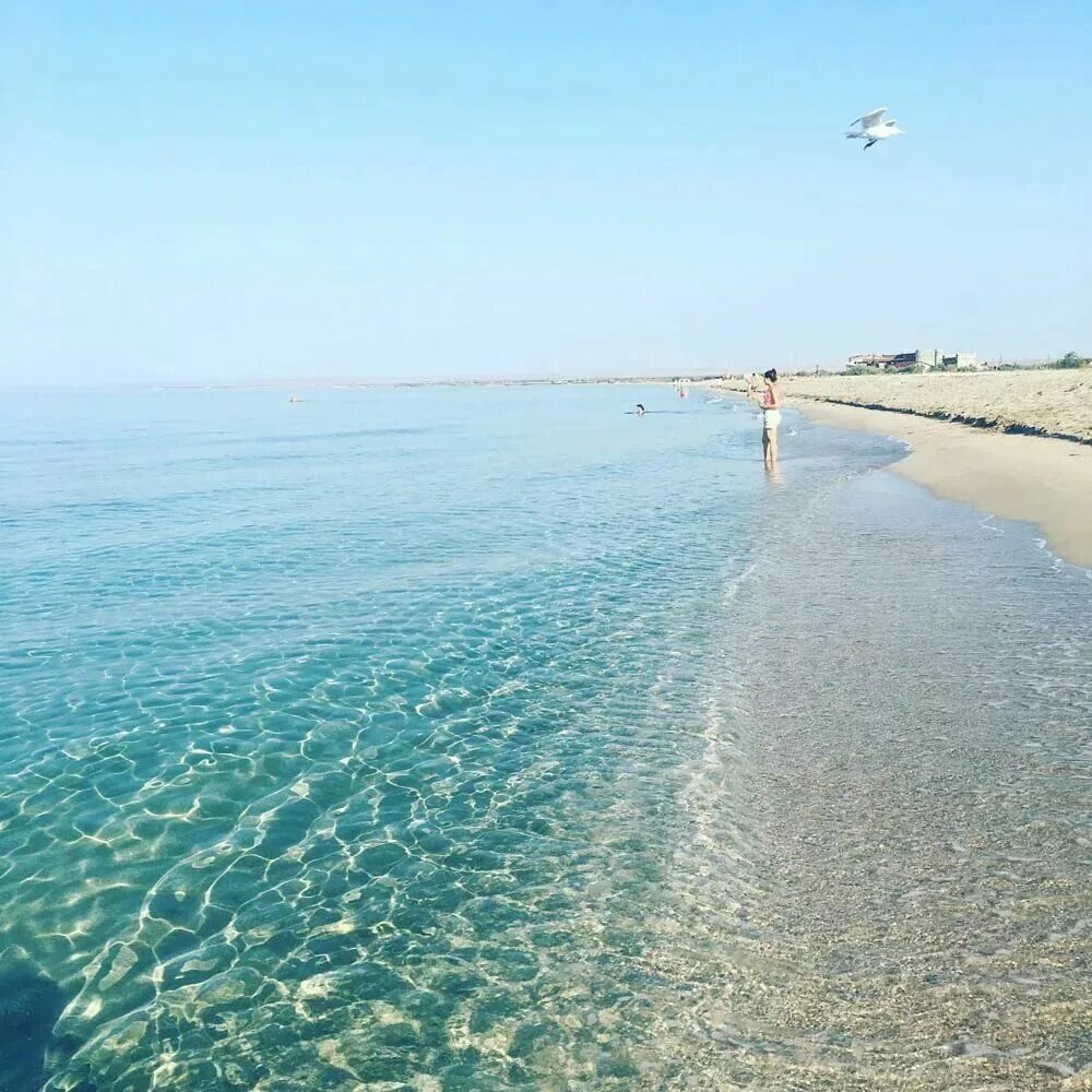 Пляж беляус фото Коса Беляус в Крыму - уникальное место для отдыха Outdoor, Beach, Water