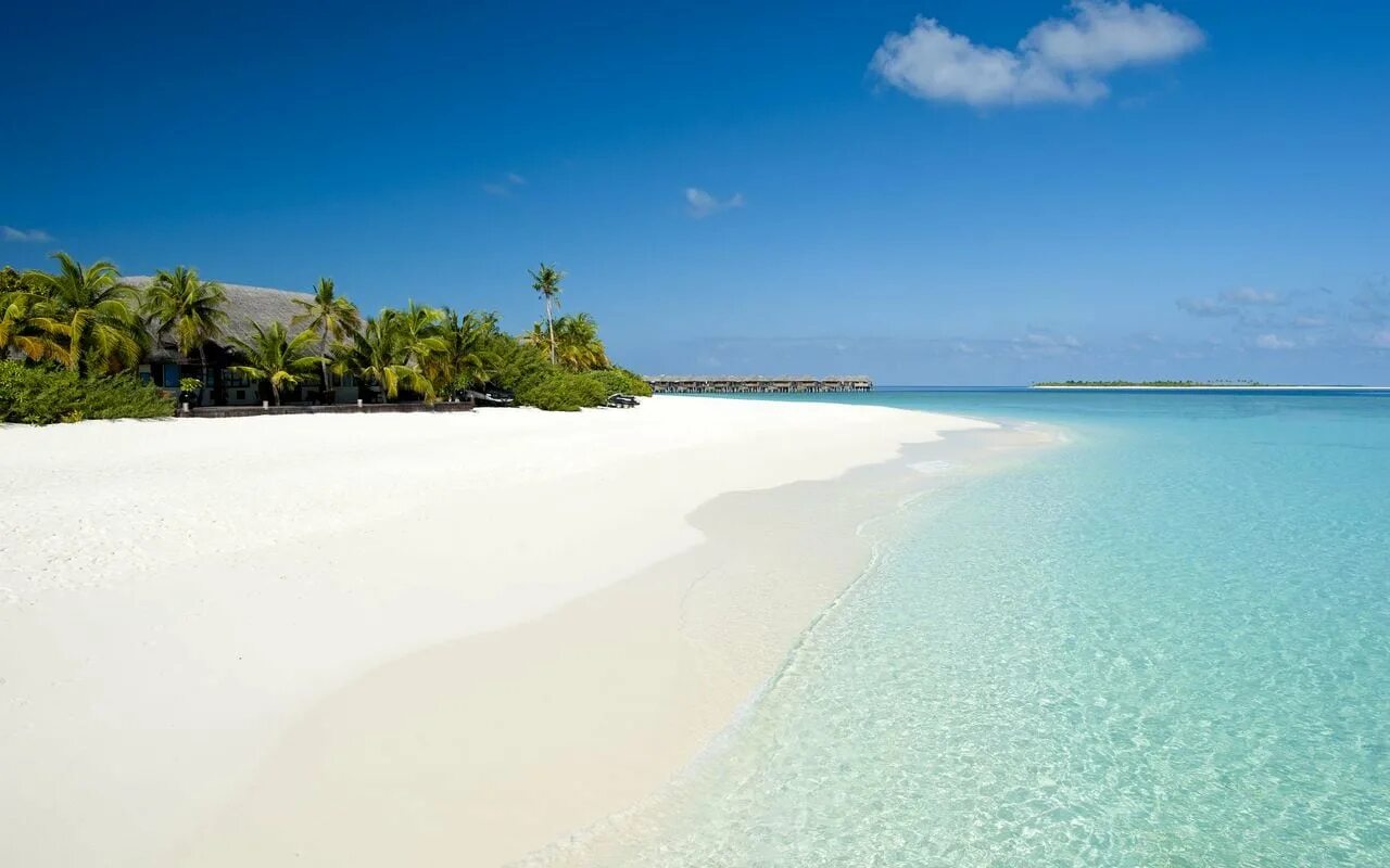 Пляж белый песок фото The Beach House at Iruveli Maldives - Maldives Resort