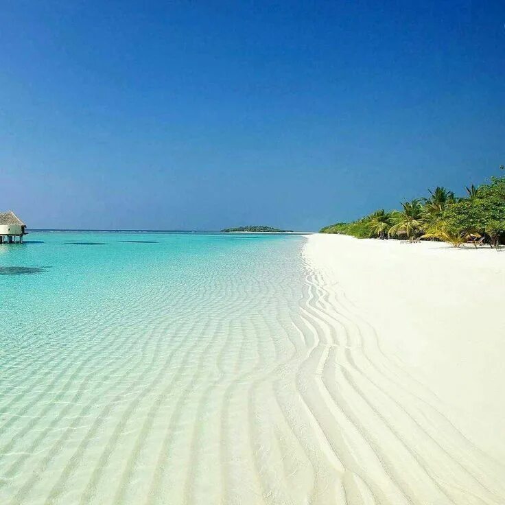 Пляж белый песок фото Viaja a Maldivas Vacation places, Places to travel, Maldives island