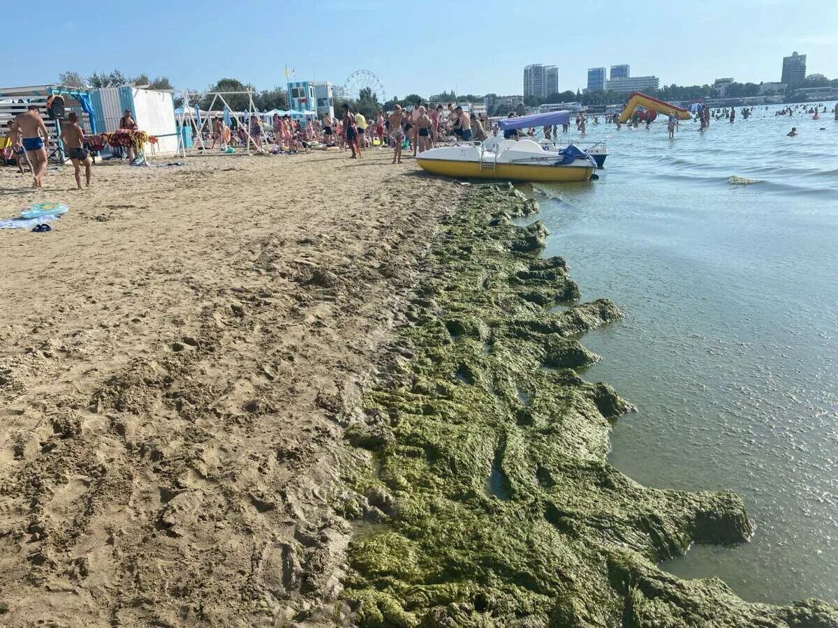 Пляж берег анапы фото Море сегодня в Анапе - Страница 28 - Новости Анапы