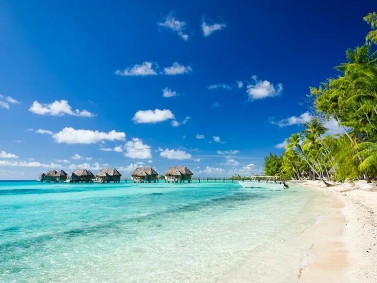 Пляж большие фото The 20 Best Beaches in the World 2018 Most beautiful beaches, Beaches in the wor