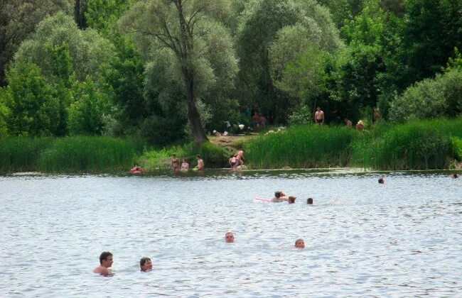 Пляж боровое воронеж фото Пляж "Боровое" (Воронеж): фото, отзывы, как добраться Достопримечательности Воро