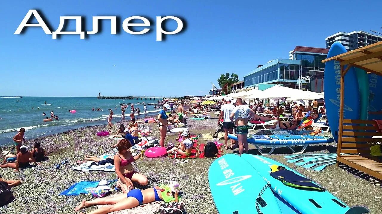 Пляж чайка 1 фото Адлер. Отличная погода. Пляж "ЧАЙКА" "МАНДАРИН". Центр РЫНОК .. - YouTube