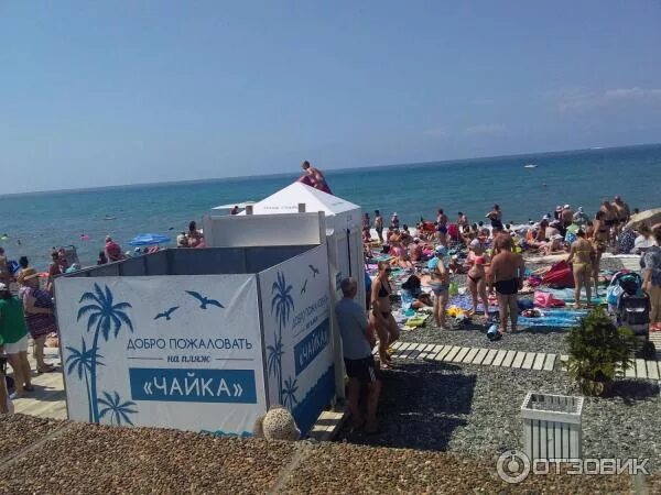 Пляж чайка сочи фото Отзыв о Пляж Чайка (Россия, Адлер) Вот ты какой, центральный пляж Адлера)