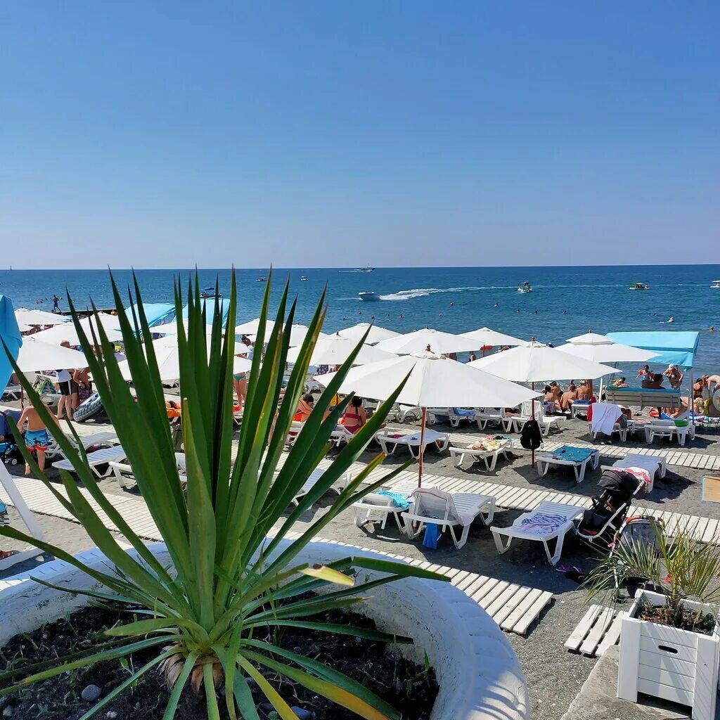 Пляж чайка сочи фото Panorama: Municipal Beach Chaika-2, beach, Russia, Sochi, mikrorayon Adler, ulit