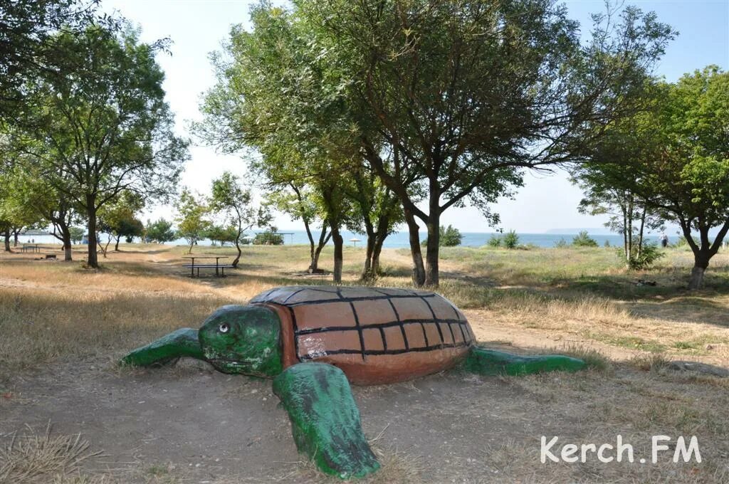 Пляж черепашка республика крым фото Пляж черепашка в керчи