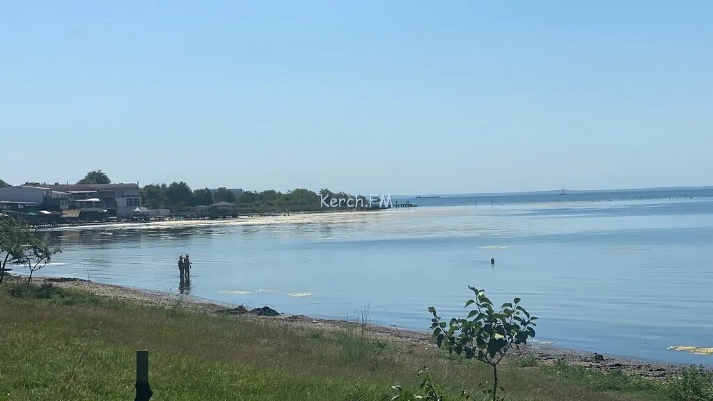 Пляж черепашка республика крым фото Пляж черепашка в керчи