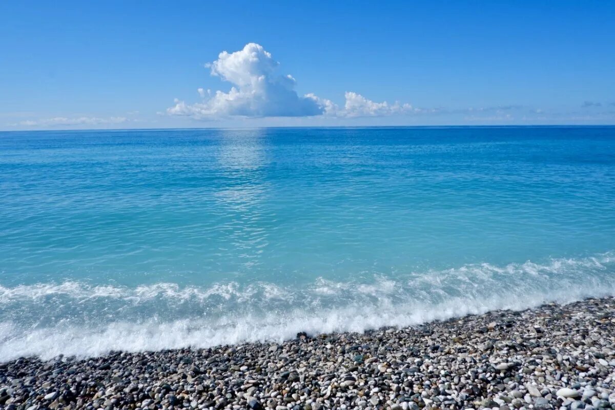 Пляж черного моря фото Международный день Черного моря 2023