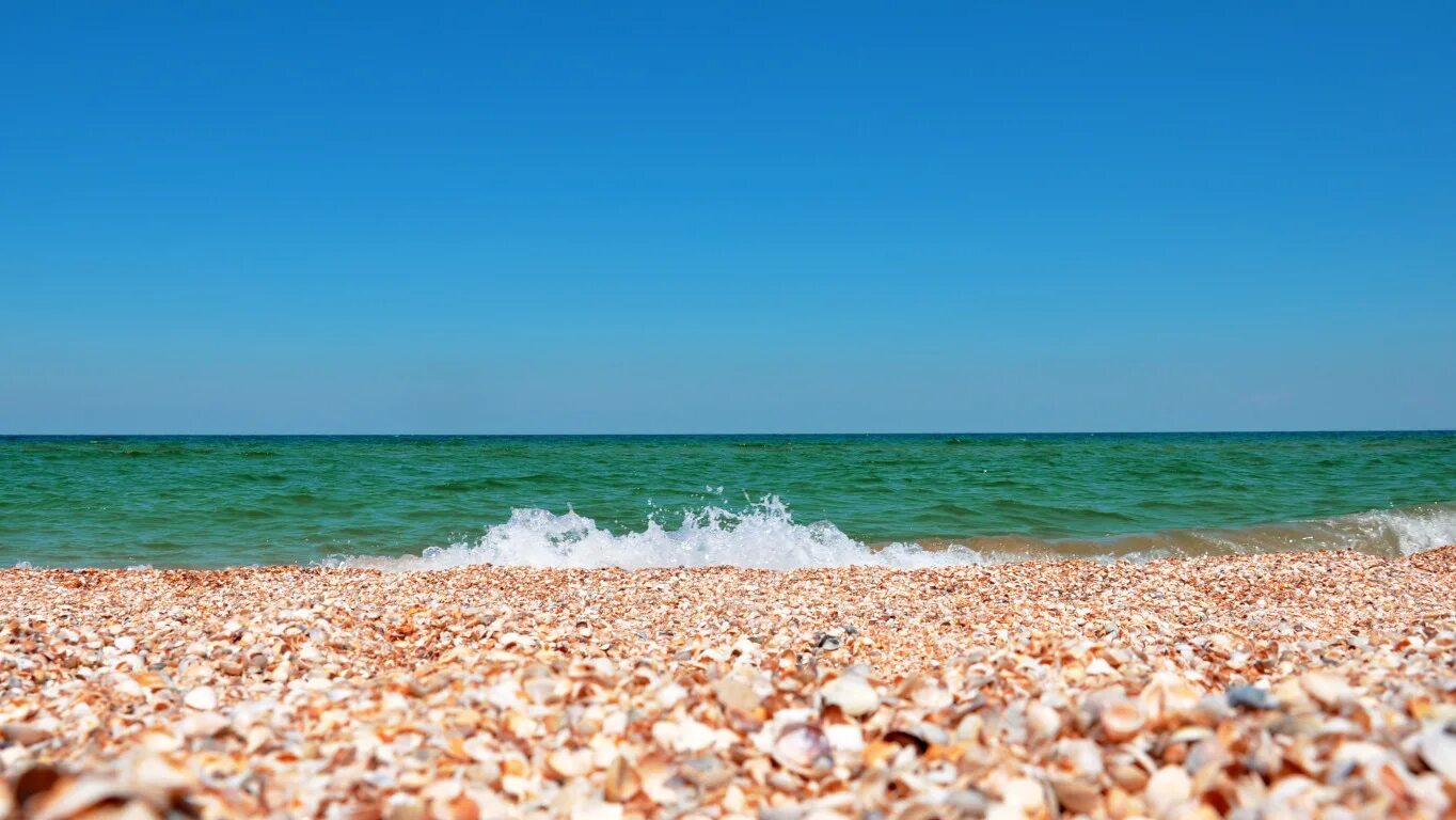 Пляж черного моря фото Download wallpaper sea, the sky, landscape, nature, shell, shell, Crimea, the sa