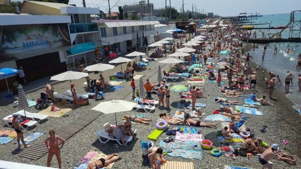 Пляж чкаловский сочи фото Картинки ПЛЯЖ ЧАЙКА АДЛЕРА КАМЕРА