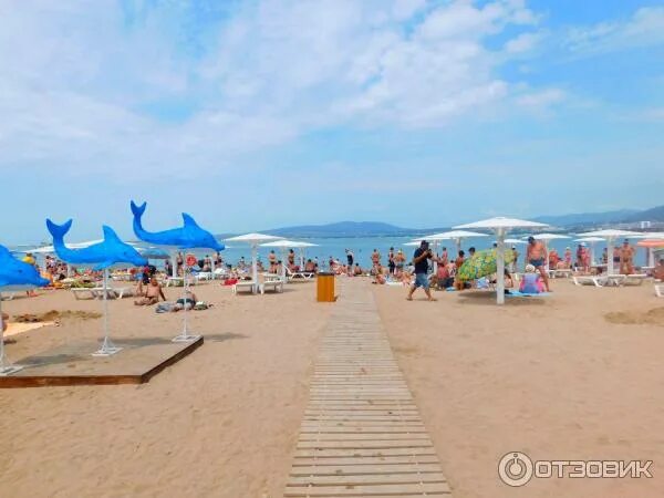Пляж дельфин геленджик фото Отзыв о Городской пляж "Дельфин" (Россия, Геленджик) Самый большой песочный пляж