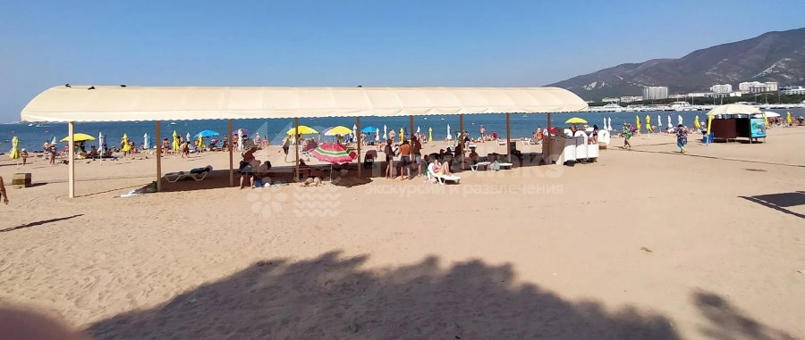 Пляж дельфин геленджик фото Пляж "Дельфин" в Геленджике - описание и местоположение