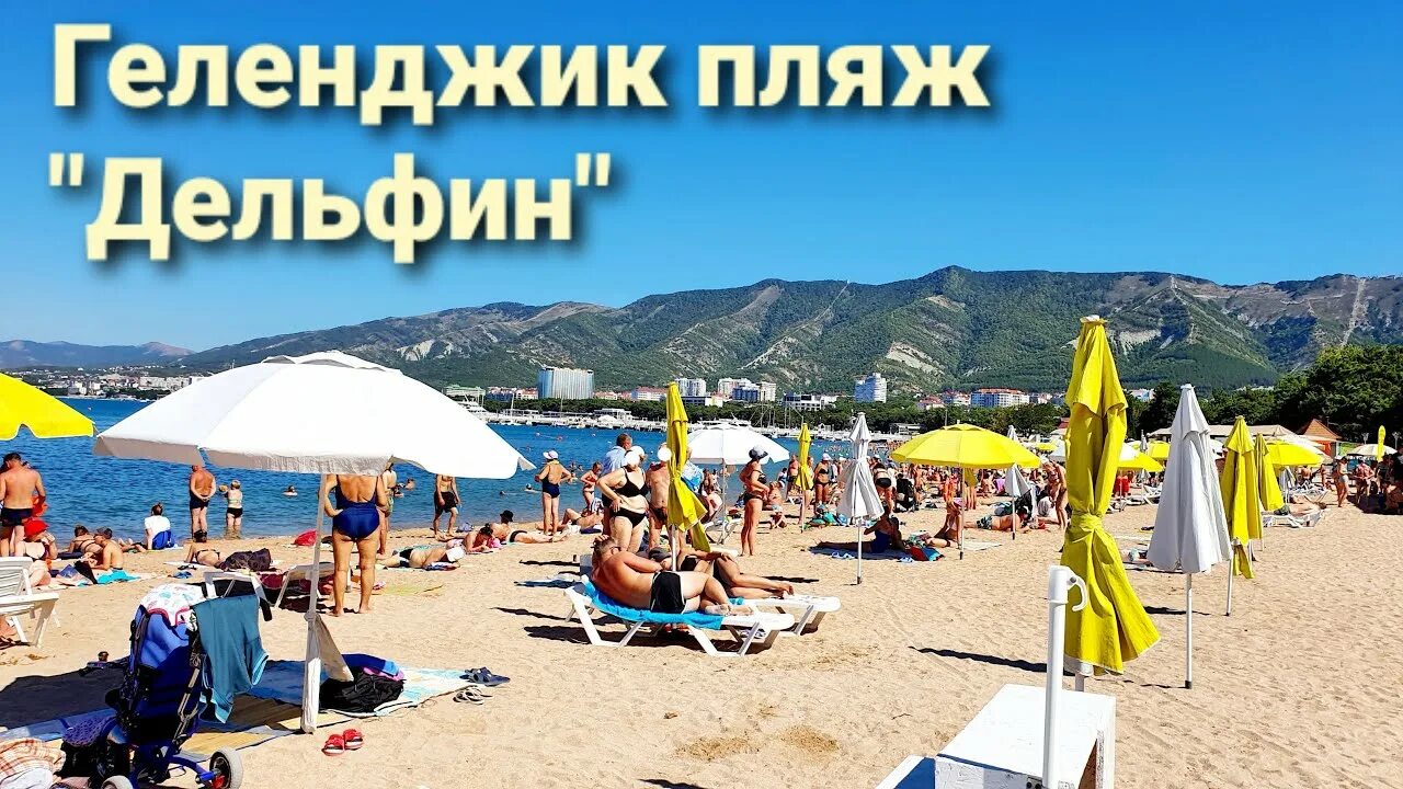 Пляж дельфин геленджик фото Геленджик пляж "Дельфин". Обзор и Цены август 2020. - YouTube
