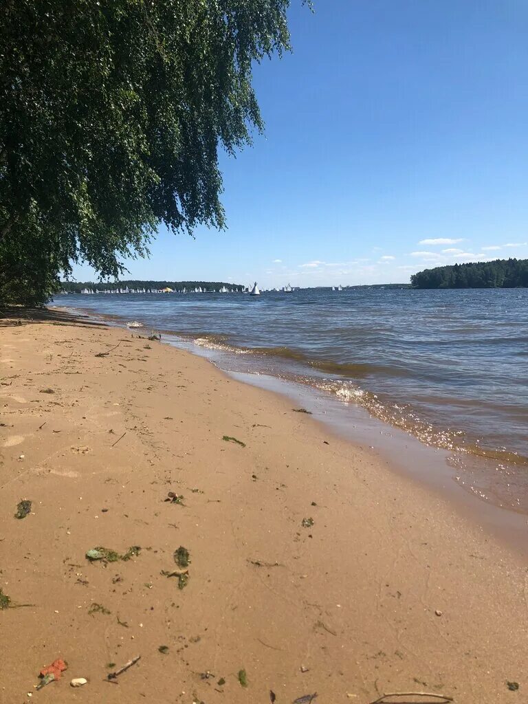 Пляж деревня фото Пляж, beach, Moscow Region, Mytishi Urban District, derevnya Chiveryovo, Tsentra