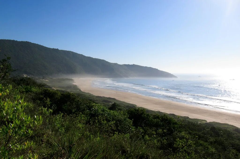 Пляж девушки дикий бразилия фото Пляж Лагоинья ду Лесте или Lagoinha do Leste Beach из категории самые лучшие пля