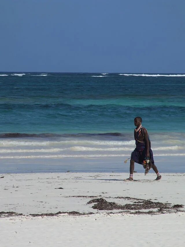 Пляж диана фото File:Diani Beach 08.jpg - Wikimedia Commons